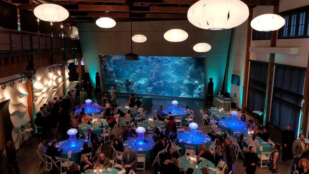 Themed banquet with ambient wash and big-screen feature